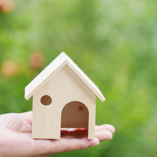 造る前から造った後まで