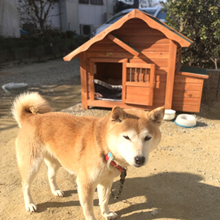 ペット小屋イメージ